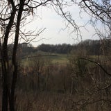 IMG_5699.jpg