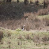 IMG_60972.jpg
