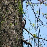 IMG_9038.jpg