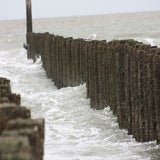 IMG_7335.jpg