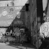 IMG_33643-1.jpg