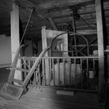 IMG_4189-kopie.jpg