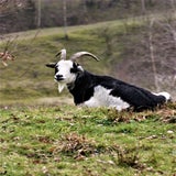 IMG_61383-1.jpg