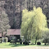 IMG_65832-kopie.jpg