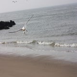 IMG_7140-kopie-kopie-kopie.jpg