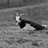 IMG_61382-1.jpg
