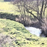 IMG_59602.jpg