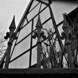 IMG_52032.jpg
