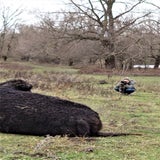 DSC_0138.jpg