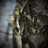 IMG_59032.jpg