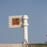 IMG_6822.jpg
