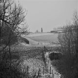 IMG_5532.jpg