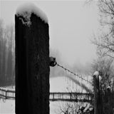 IMG_5484-kopie.jpg