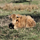 IMG_65542.jpg