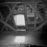 77287412-8C51-4FF7-93AE-265D8A0CEBE8.jpeg