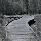 IMG_8942.jpg