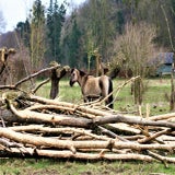 IMG_62542.jpg
