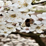 DSC_0025-kopie.jpg