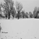 DSC_01892-kopie.jpg
