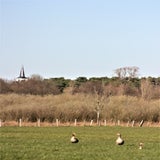 IMG_65312.jpg