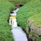 IMG_66512-kopie.jpg