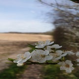 DSC_0012-kopie.jpg