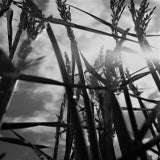 1D5DF7AB-F744-4D38-806A-59405E8E40C0.jpeg