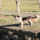 IMG_59252.jpg