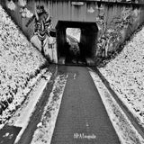 DSC_02032-kopie.jpg