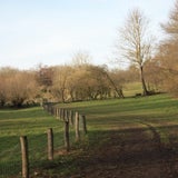 IMG_5742.jpg