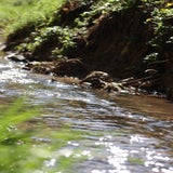IMG_6626-kopie.jpg