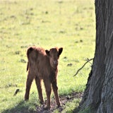 IMG_65692.jpg