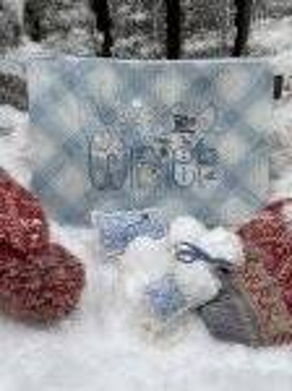 Winter Cross Stitch Chart