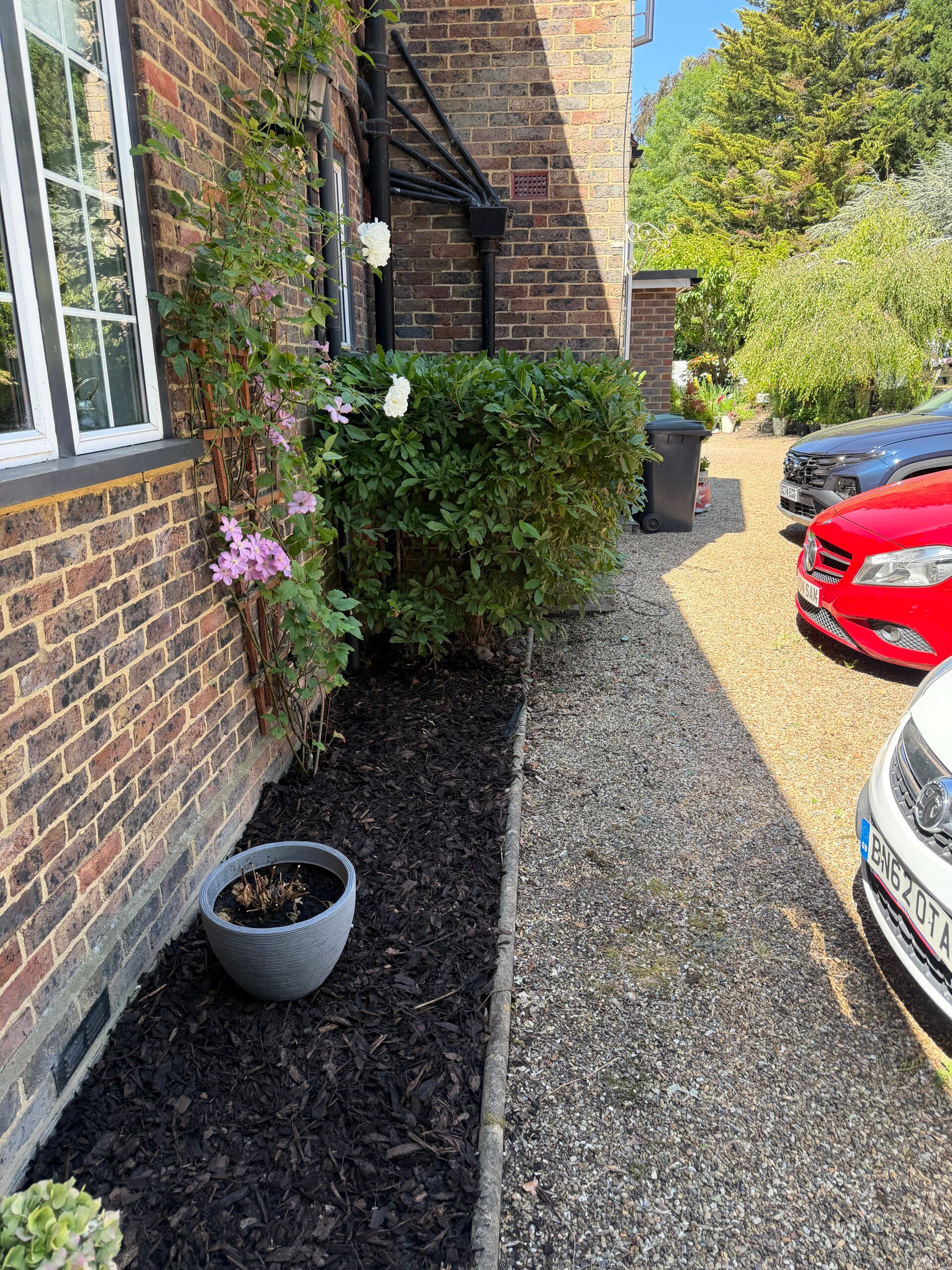 Garden Tidy in Brockham