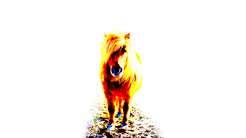 pony1-standard-4f9ql1.png