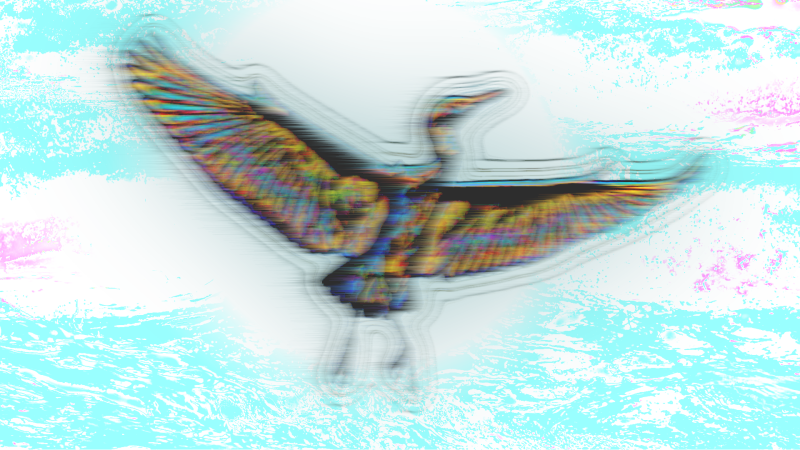 seabirds1-standard-4mpt7m.png