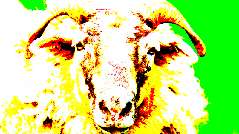 sheep2-standard-d4luot.png