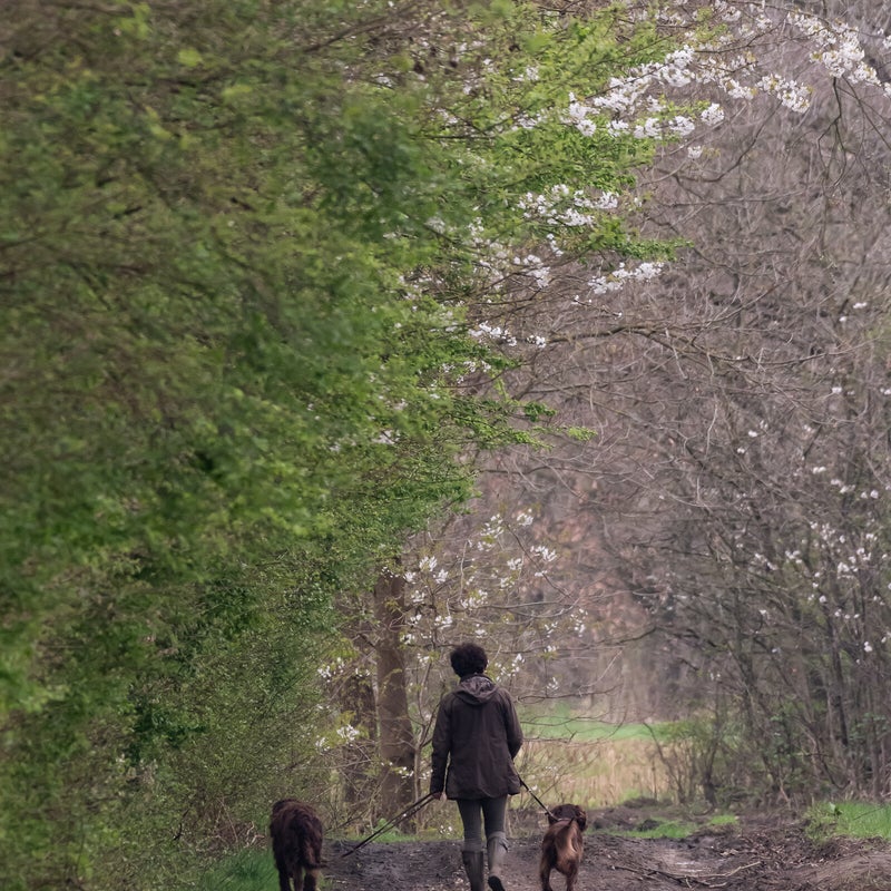 wandelingbetekom_demerboorden-8.jpg