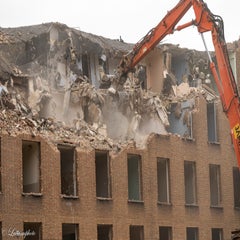 borgerstein_1-100-standard.jpg