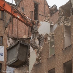borgerstein_1-55-standard.jpg