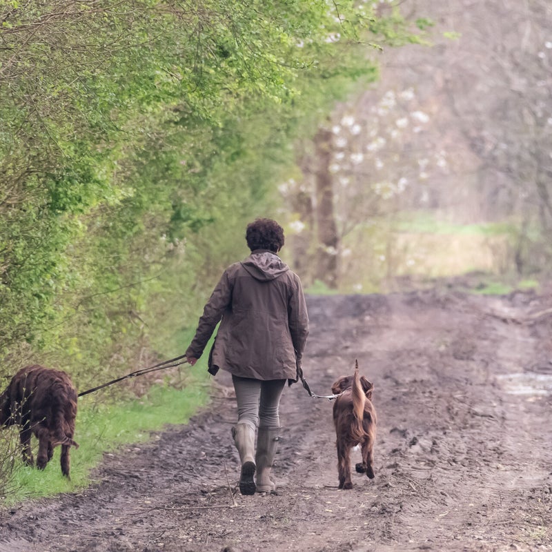 wandelingbetekom_demerboorden-7.jpg