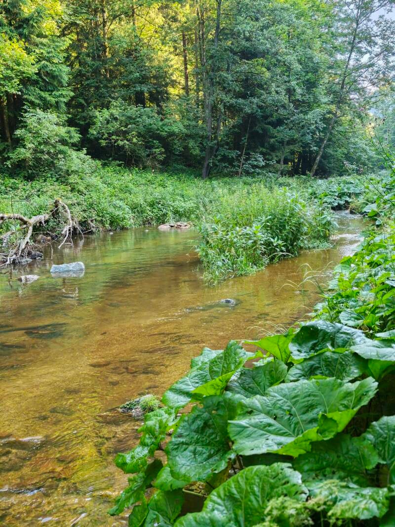 img_20260623_084709-standard.jpg