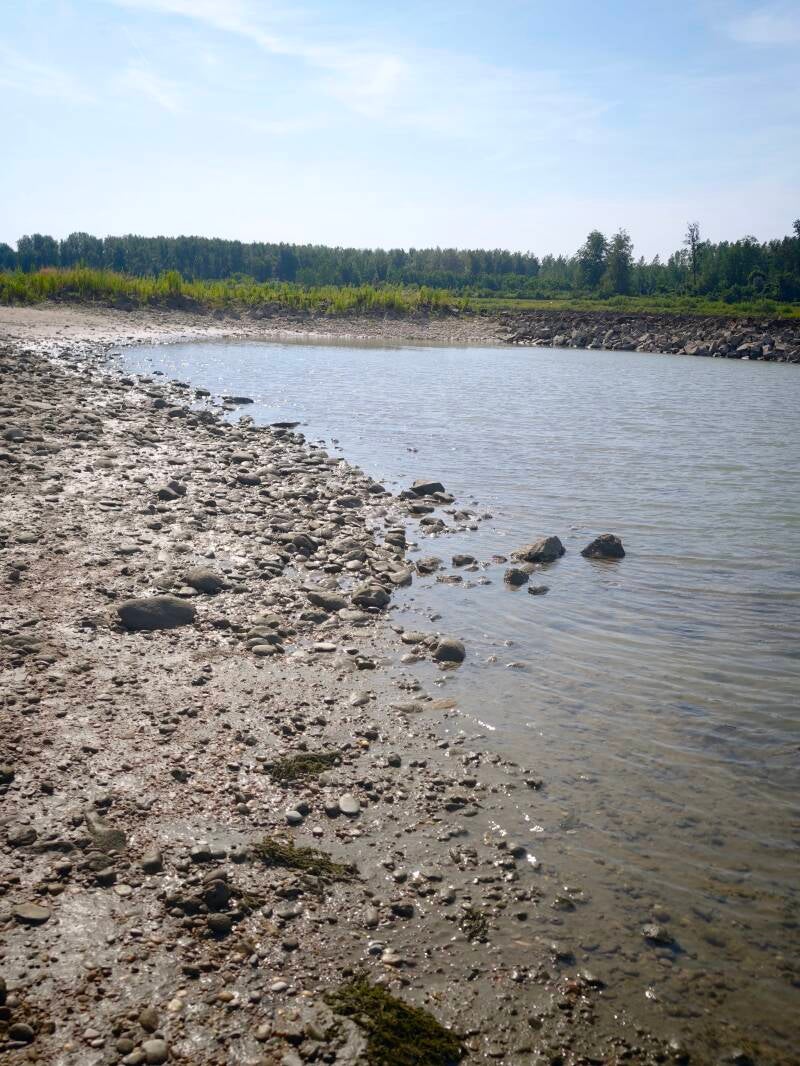 img_20260714_140056-standard.jpg