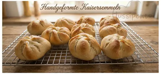 kaisersemmerl-high-standard.webp