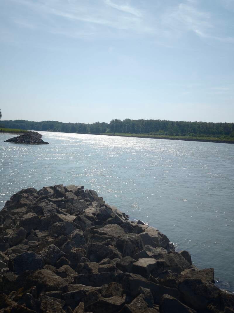mvimg_20260714_095703-standard.jpg