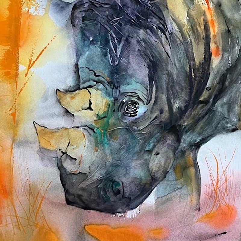 Rinoceronte 40 x 50 π’