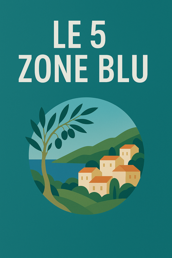 IL SISTEMA DELLE 5 ZONE BLU