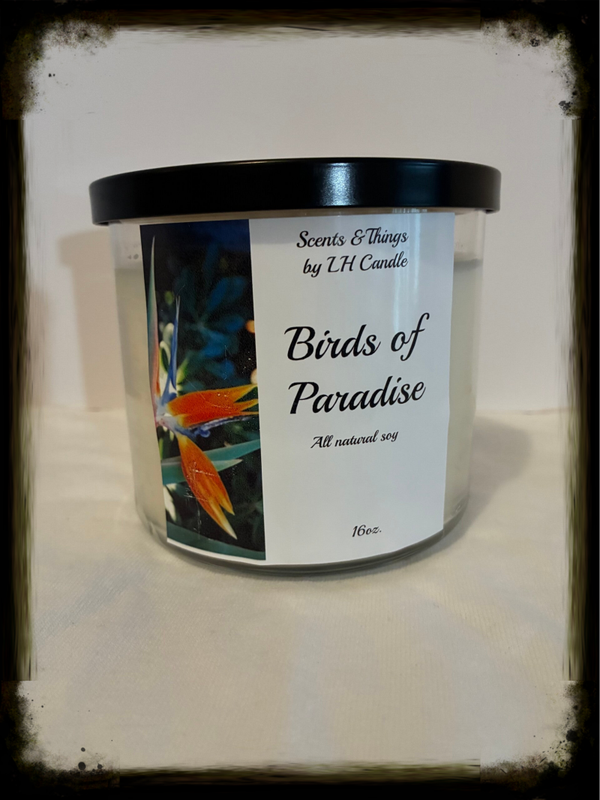 Birds of Paradise