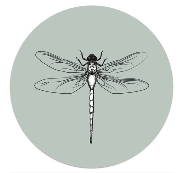 Muurcirkel groen  “Libelle” Zoedt
