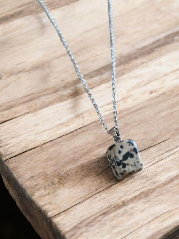 Collier en acier inoxydable et Jaspe Dalmatien